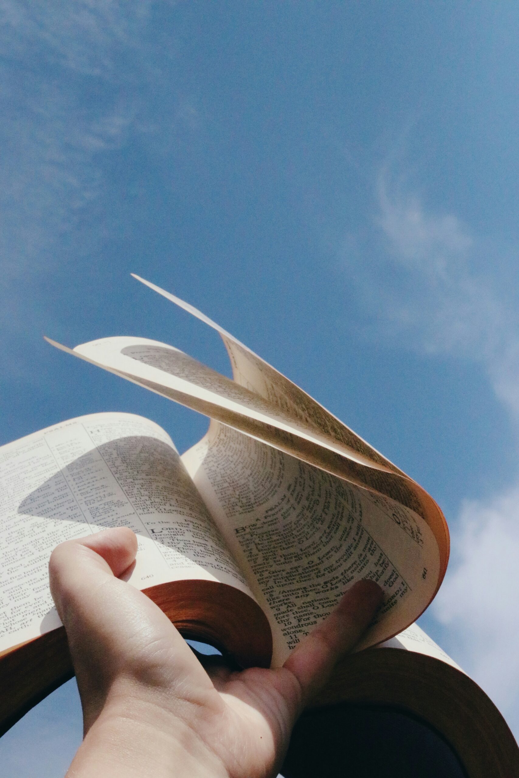 Bible and Theology